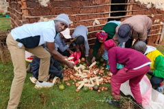 WhatsApp-Image-2025-12-19-at-18.21.47